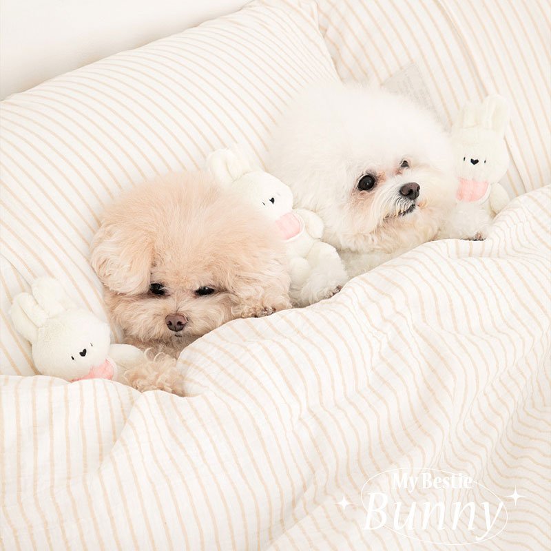 SSFW Bestie Bunny Dog Toy - CreatureLand