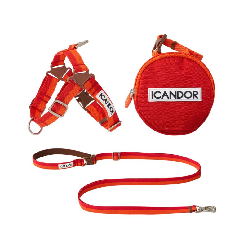 iCandor 3-in-1 Walking Kit: Sunset