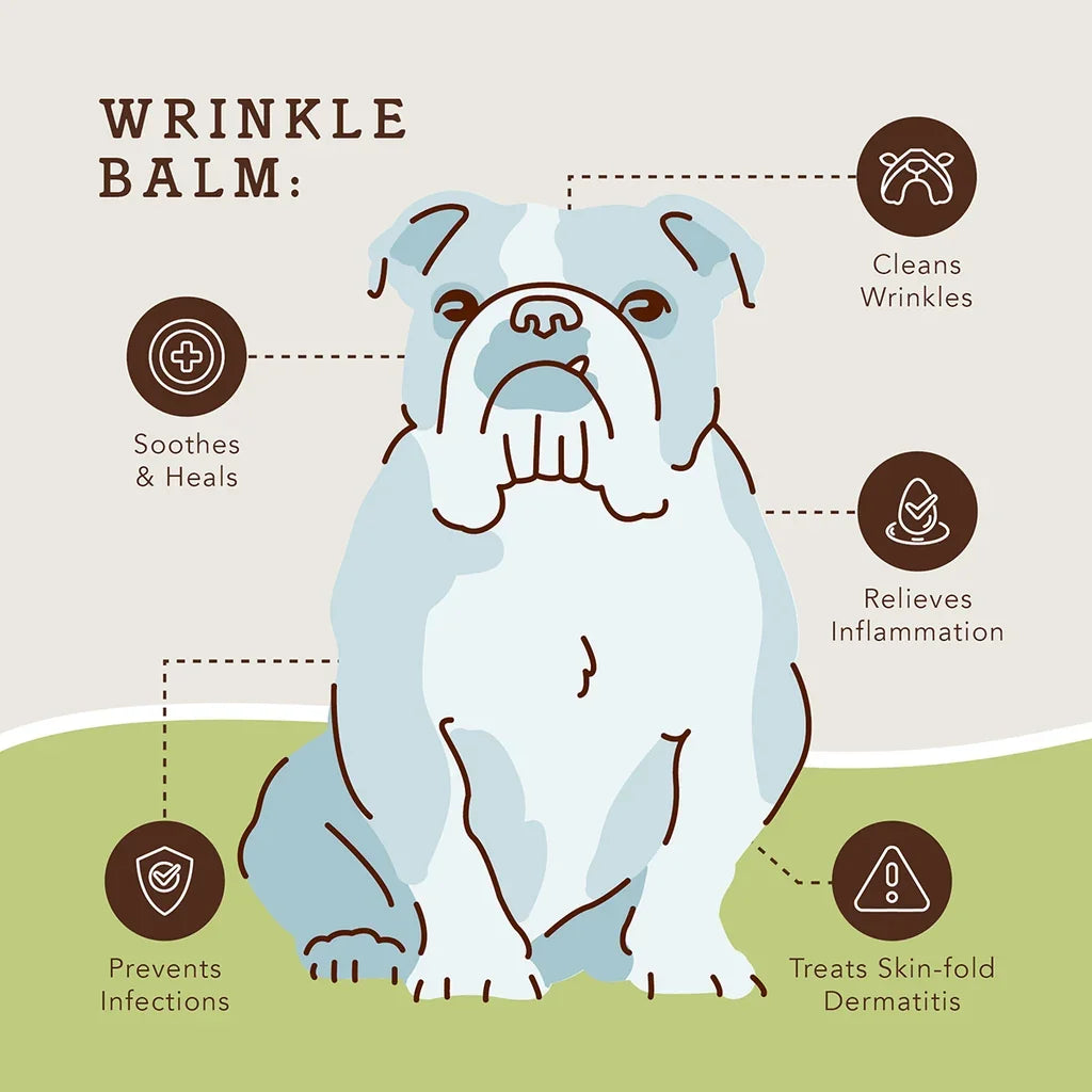 Natural Dog Company | Travel Set Balm