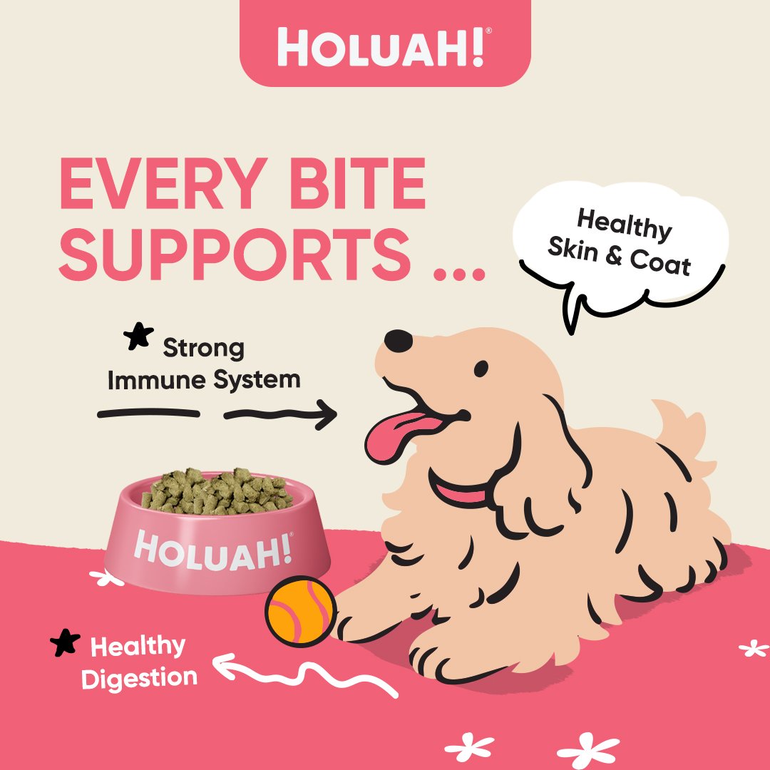 Save Extra 5% Off | Holuah! Freeze Dried Dog Food Bundle