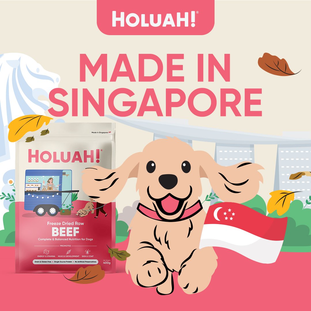 Save Extra 5% Off | Holuah! Freeze Dried Dog Food Bundle