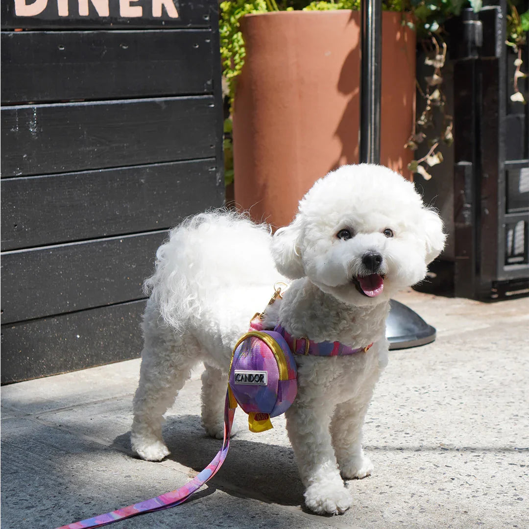 iCandor 3-in-1 Walking Kit: Milky Way