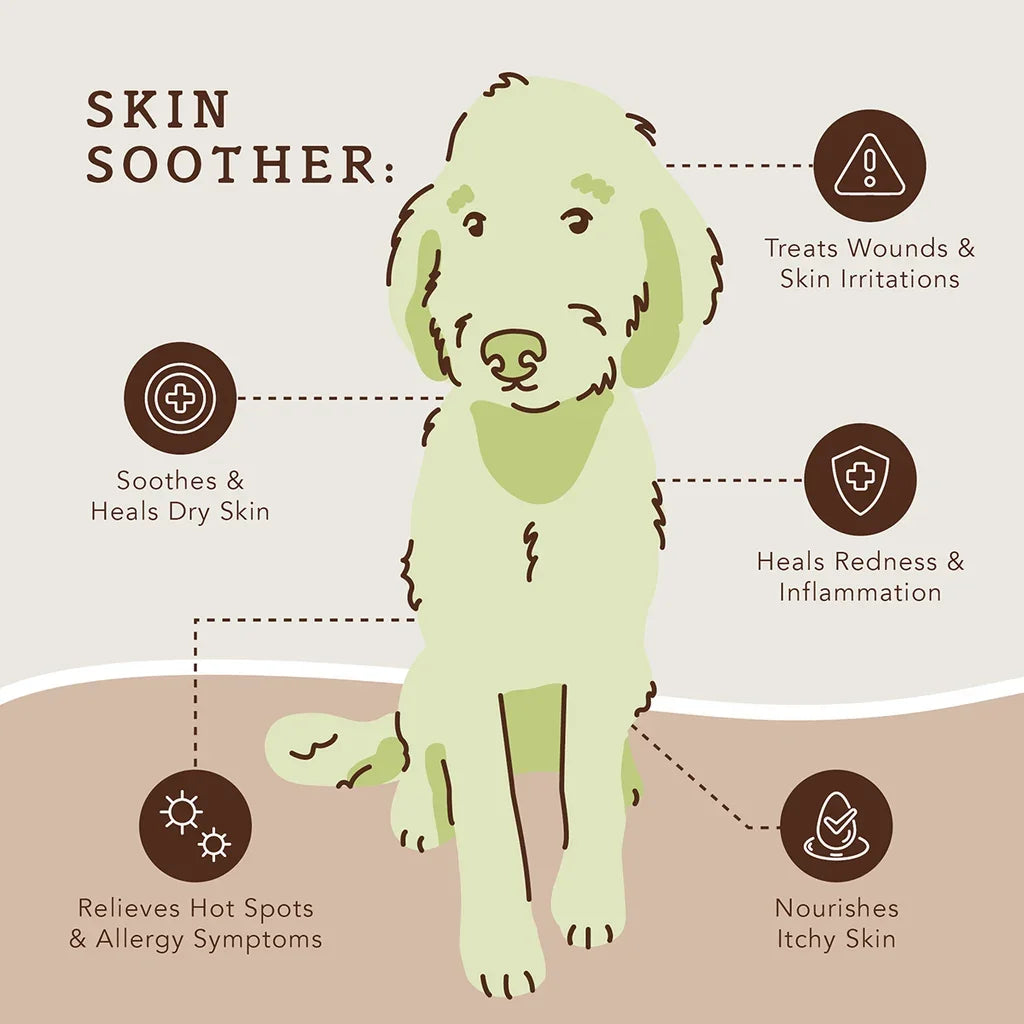 Natural Dog Company | Travel Set Balm