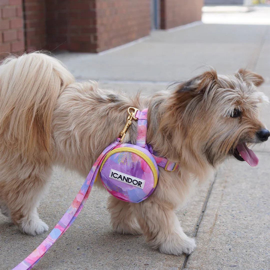 iCandor 3-in-1 Walking Kit: Milky Way