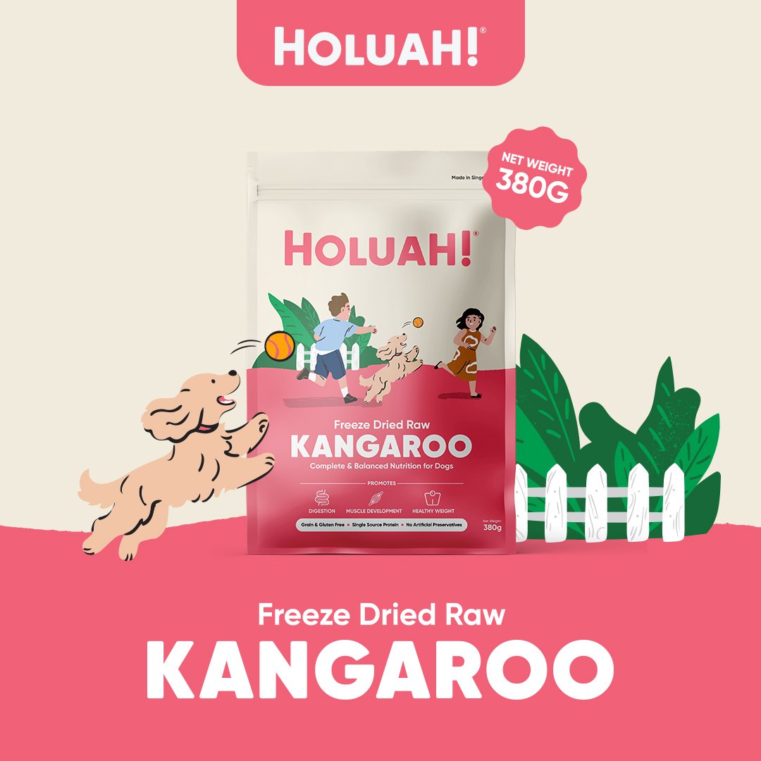 Save Extra 5% Off | Holuah! Freeze Dried Dog Food Bundle
