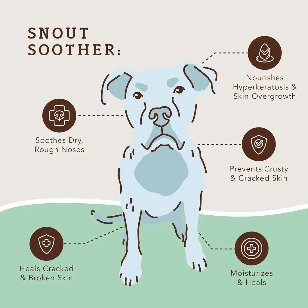 Natural Dog Company | Travel Set Balm