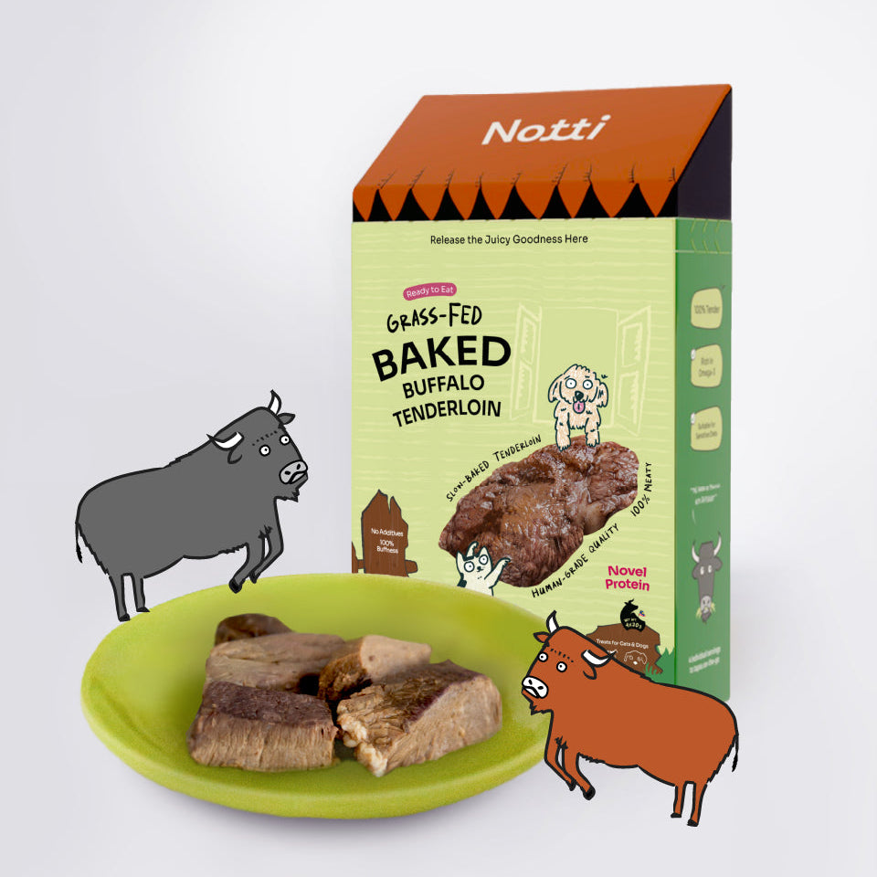 Notti Grass-Fed Baked Buffalo Tenderloin Treats For Dog & Cat (20g x 4)