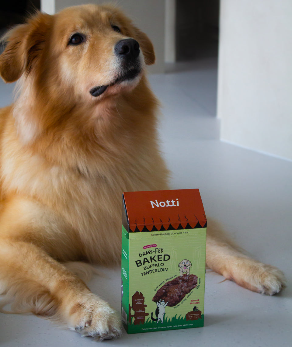 Notti Grass-Fed Baked Buffalo Tenderloin Treats For Dog & Cat (20g x 4)