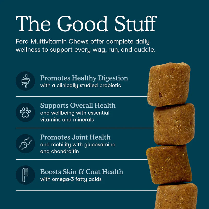 Multivitamin Soft Chews For Dogs (90 Chews)