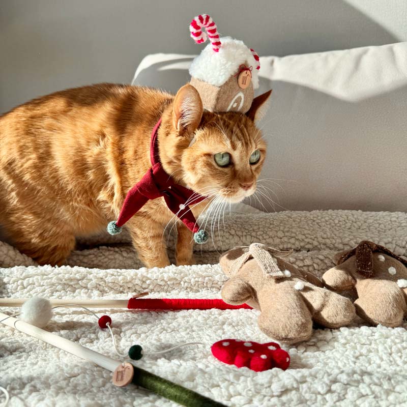 Wetnose Gingerbread House Head Piece - CreatureLand