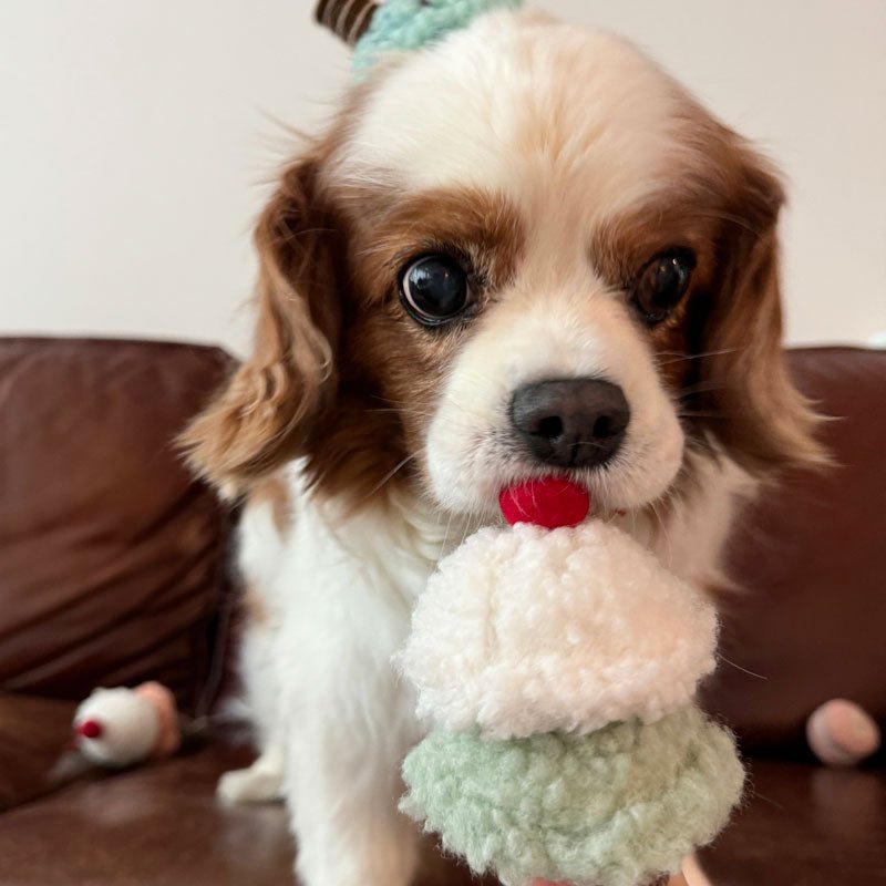 Wetnose Ice Cream Dog Toy - CreatureLand