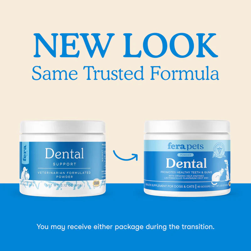 Dental Support For Cats & Dogs