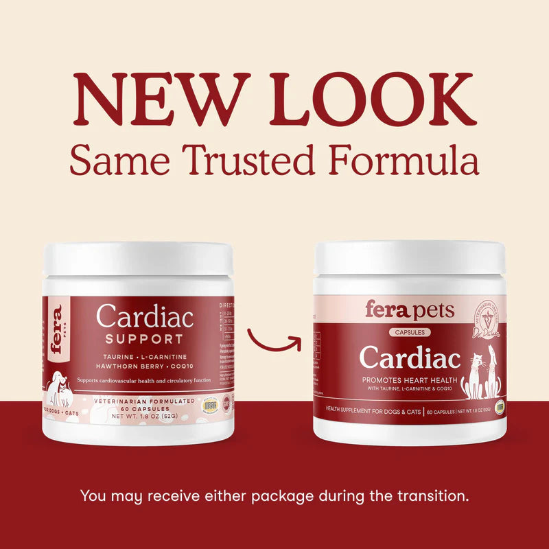 Cardiac Support for Dogs and Cats