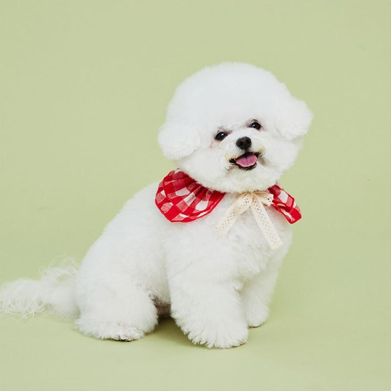 4Dogs Cube Cape ( 2 Colours ) - CreatureLand