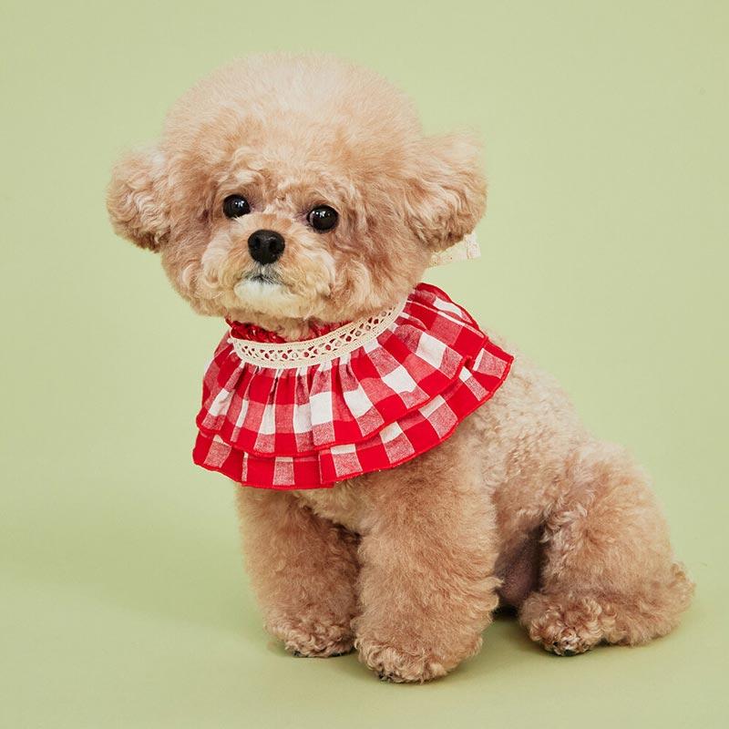 4Dogs Cube Cape ( 2 Colours ) - CreatureLand