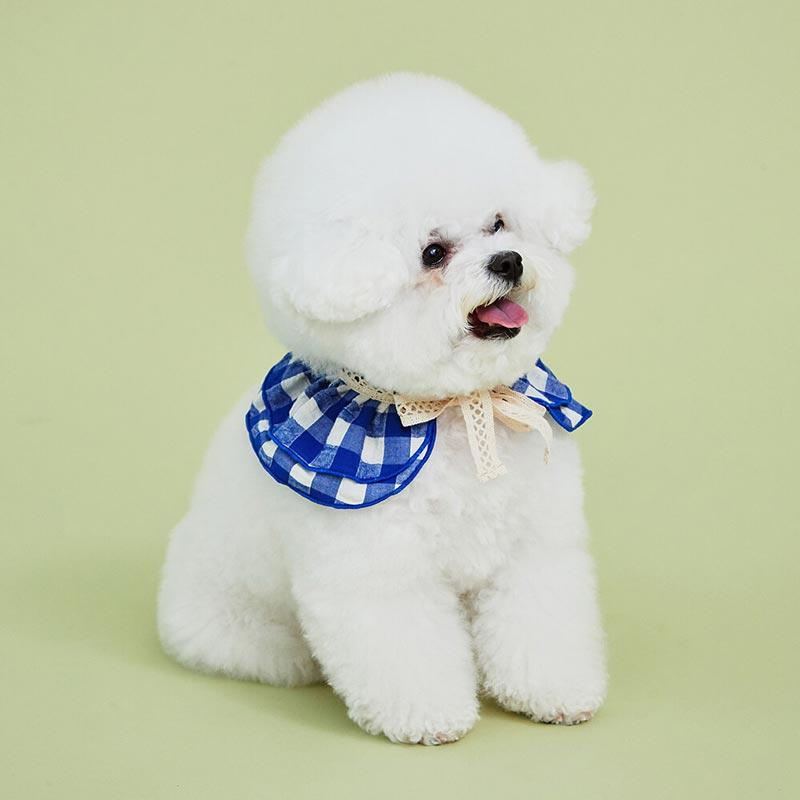 4Dogs Cube Cape ( 2 Colours ) - CreatureLand