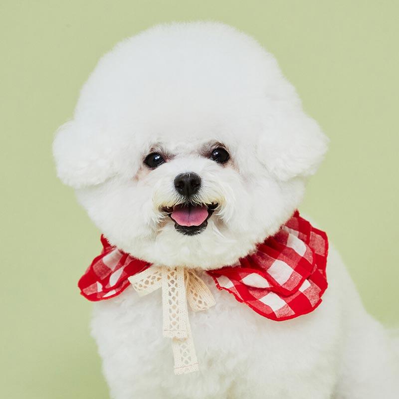 4Dogs Cube Cape ( 2 Colours ) - CreatureLand