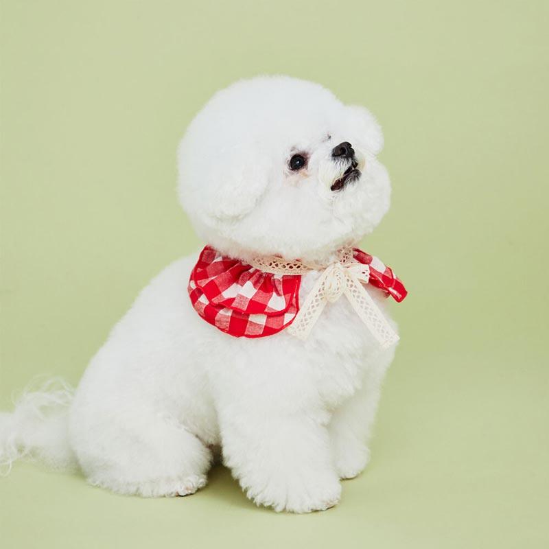 4Dogs Cube Cape ( 2 Colours ) - CreatureLand