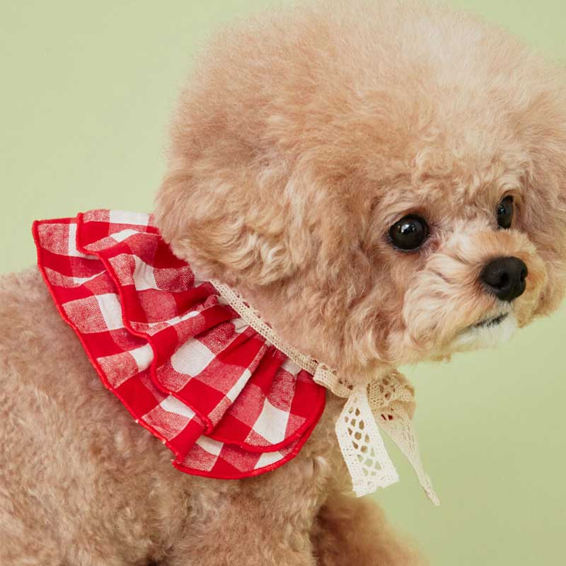 4Dogs Cube Cape ( 2 Colours ) - CreatureLand