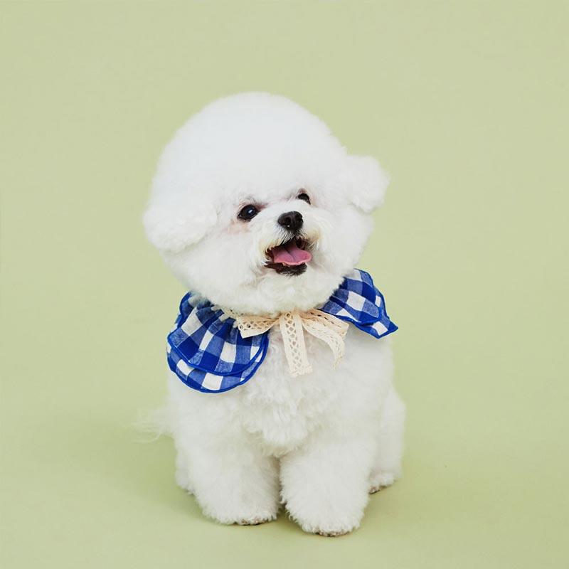 4Dogs Cube Cape ( 2 Colours ) - CreatureLand
