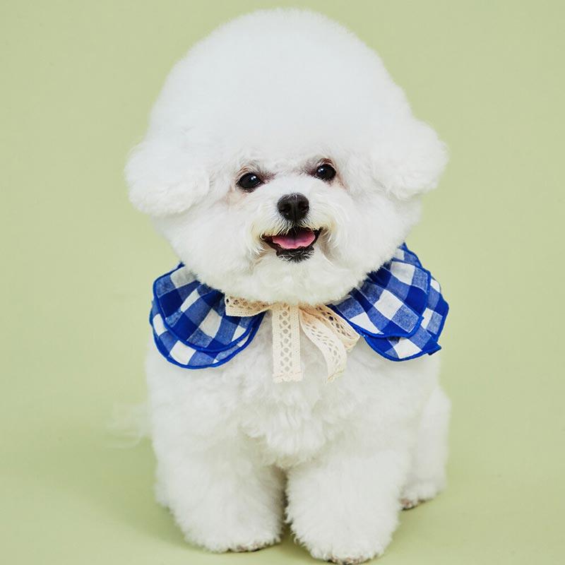 4Dogs Cube Cape ( 2 Colours ) - CreatureLand