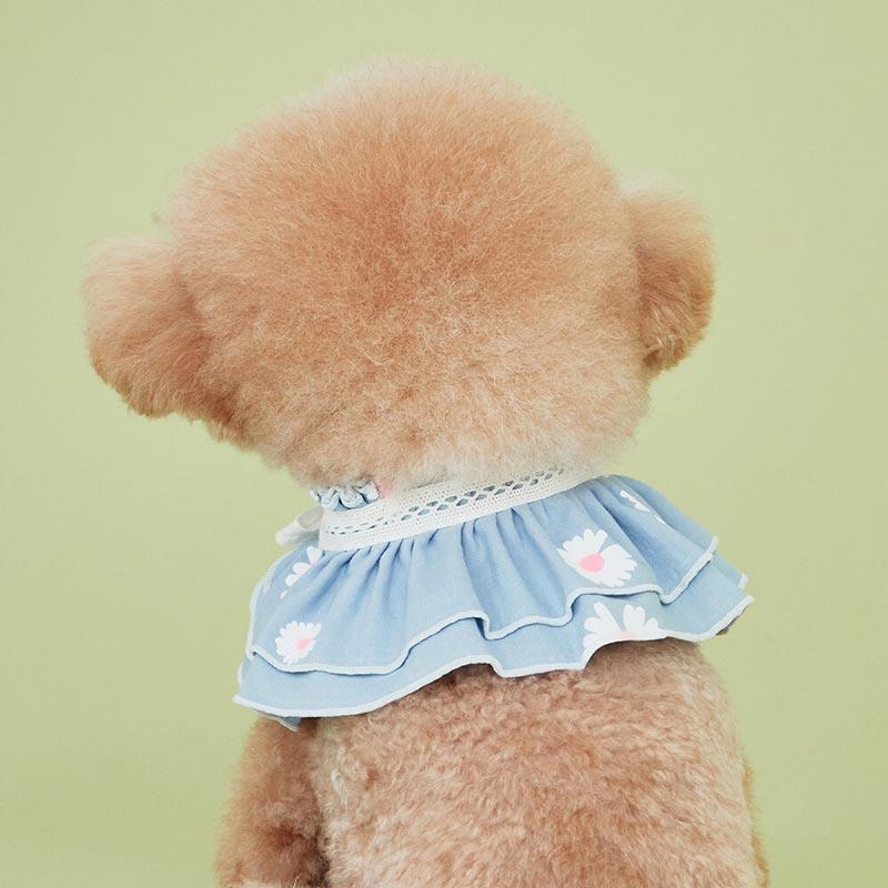 4Dogs Daisy Cape ( 2 Colours ) - CreatureLand