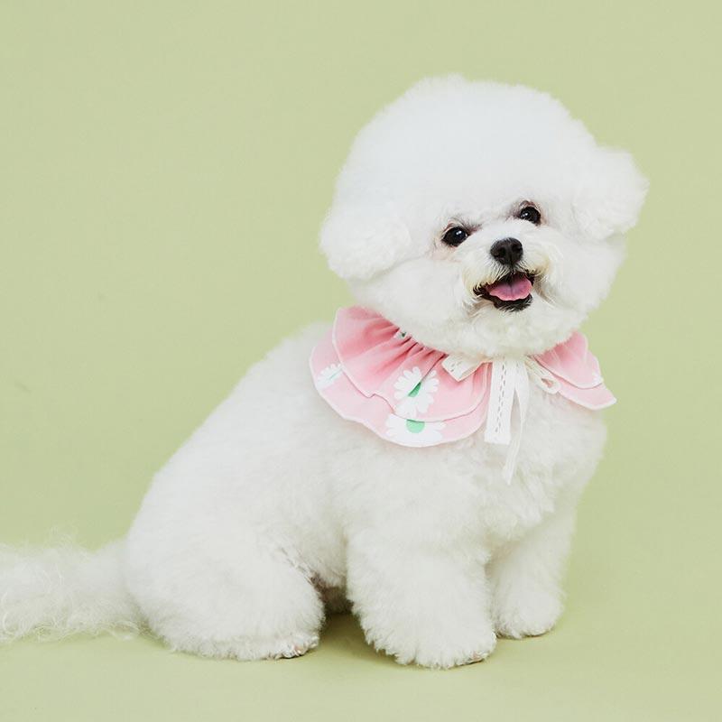 4Dogs Daisy Cape ( 2 Colours ) - CreatureLand