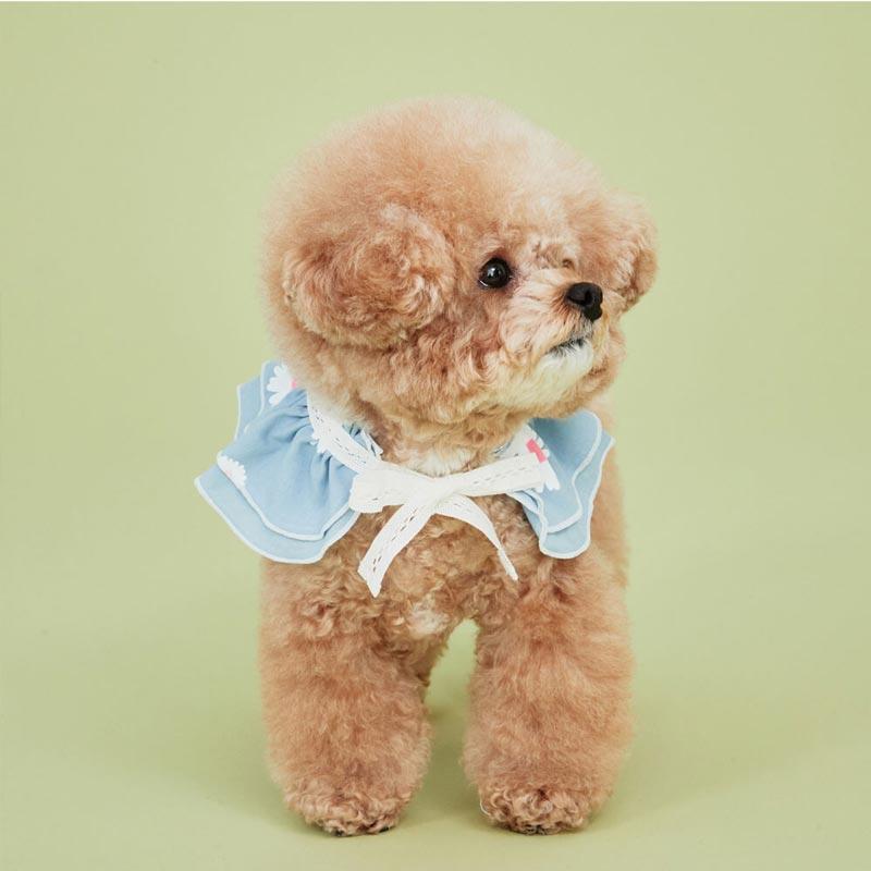 4Dogs Daisy Cape ( 2 Colours ) - CreatureLand