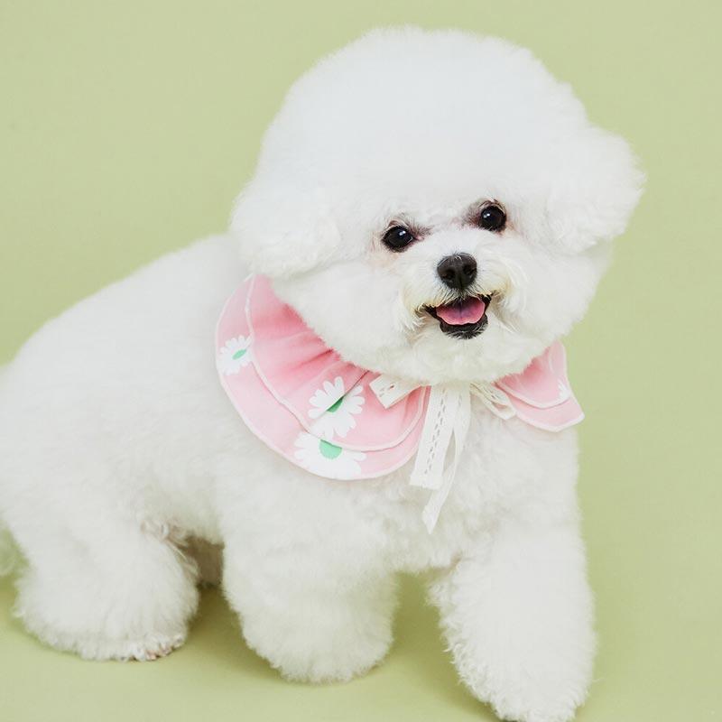 4Dogs Daisy Cape ( 2 Colours ) - CreatureLand