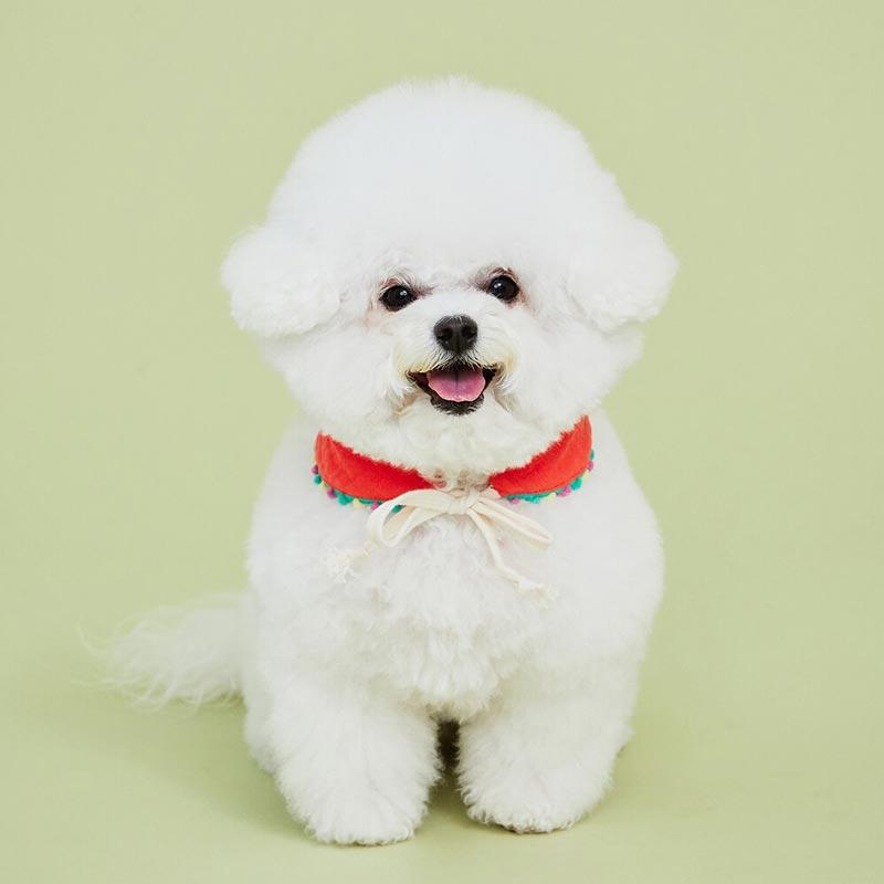 4Dogs Half Moon Cape ( 4 Colours ) - CreatureLand