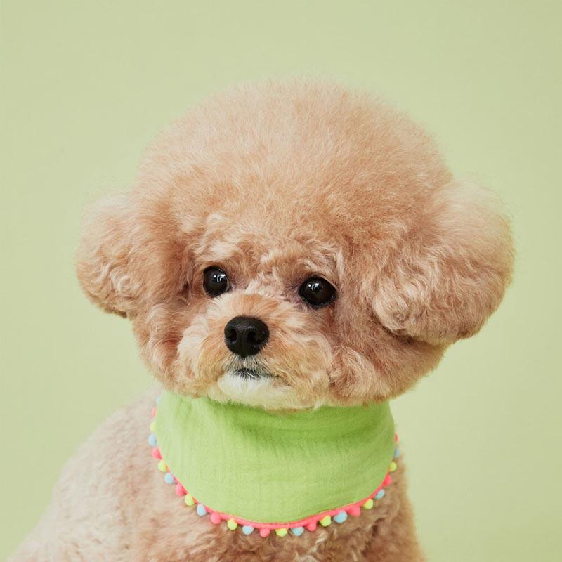 4Dogs Half Moon Cape ( 4 Colours ) - CreatureLand