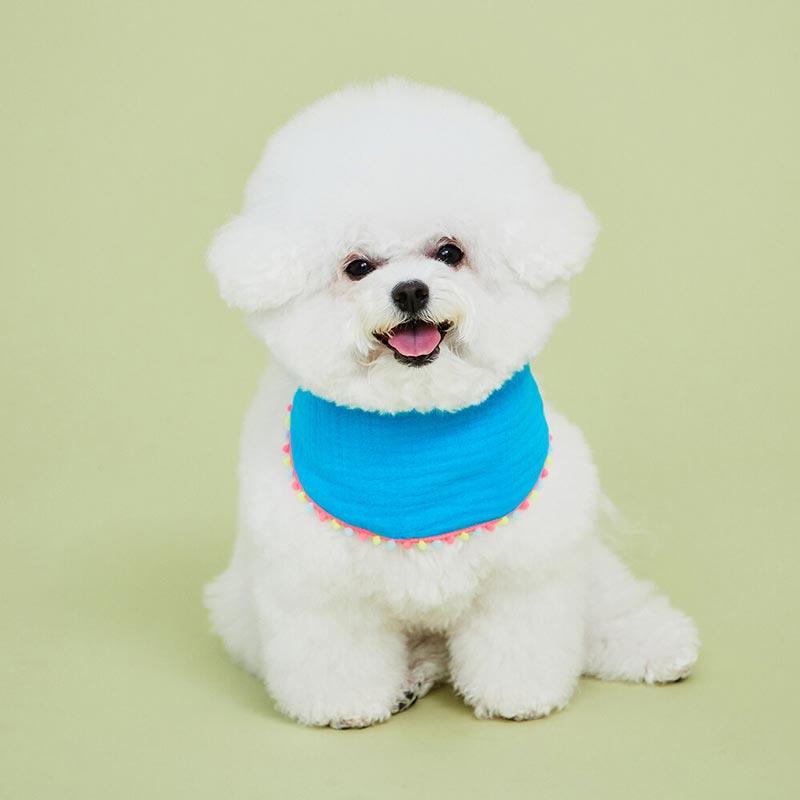 4Dogs Half Moon Cape ( 4 Colours ) - CreatureLand