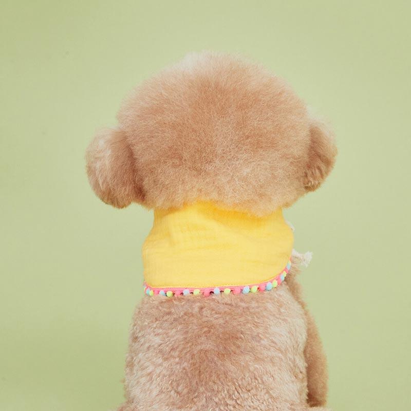 4Dogs Half Moon Cape ( 4 Colours ) - CreatureLand