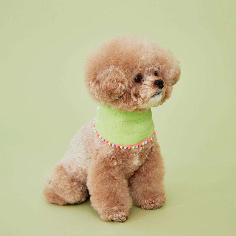 4Dogs Half Moon Cape ( 4 Colours ) - CreatureLand