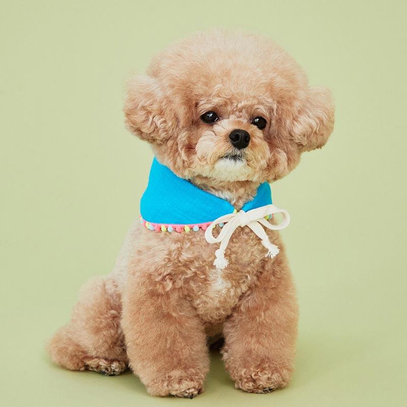 4Dogs Half Moon Cape ( 4 Colours ) - CreatureLand