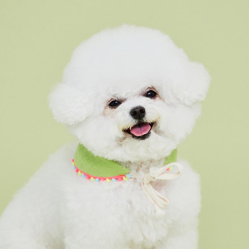 4Dogs Half Moon Cape ( 4 Colours ) - CreatureLand