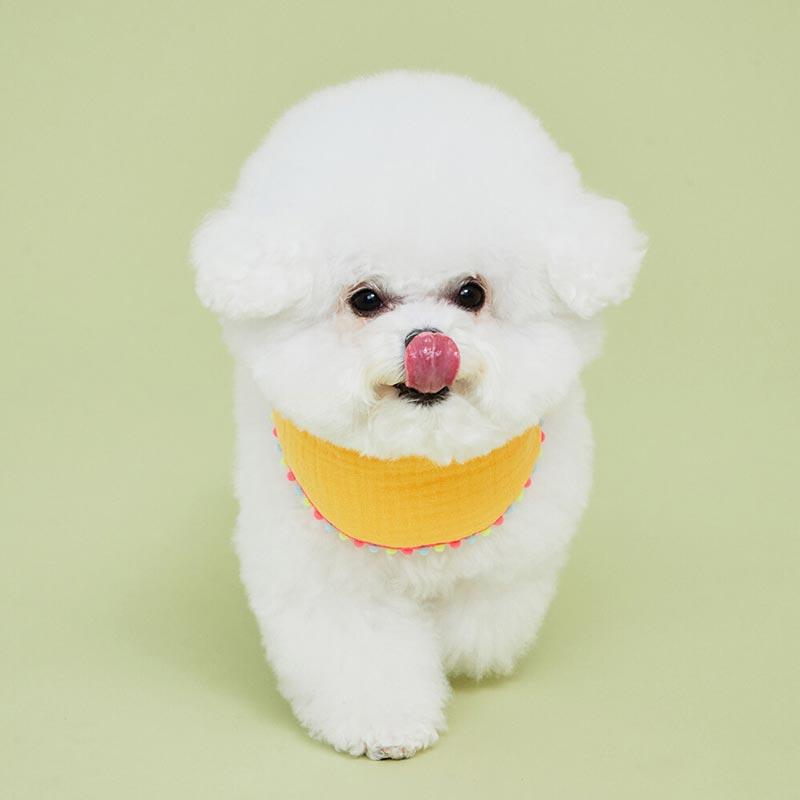 4Dogs Half Moon Cape ( 4 Colours ) - CreatureLand