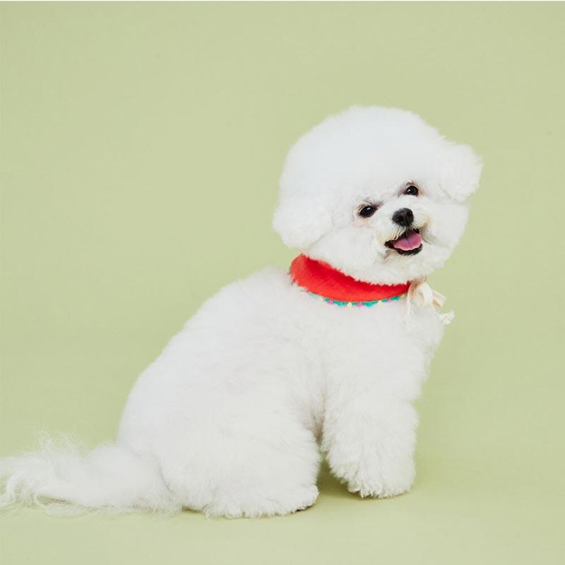 4Dogs Half Moon Cape ( 4 Colours ) - CreatureLand