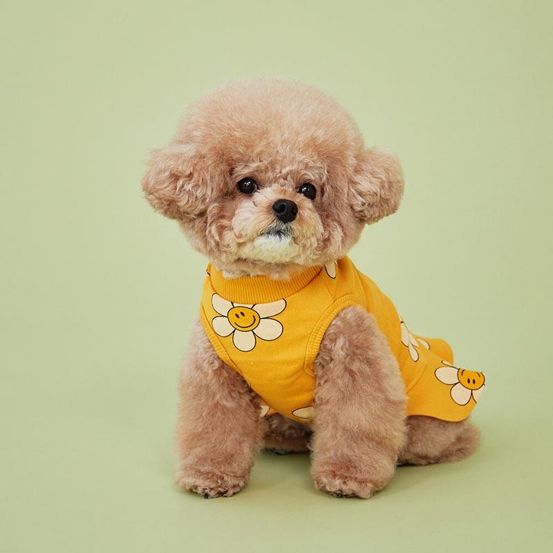 4Dogs Smile Flower Jersey ( 2 Colours ) - CreatureLand