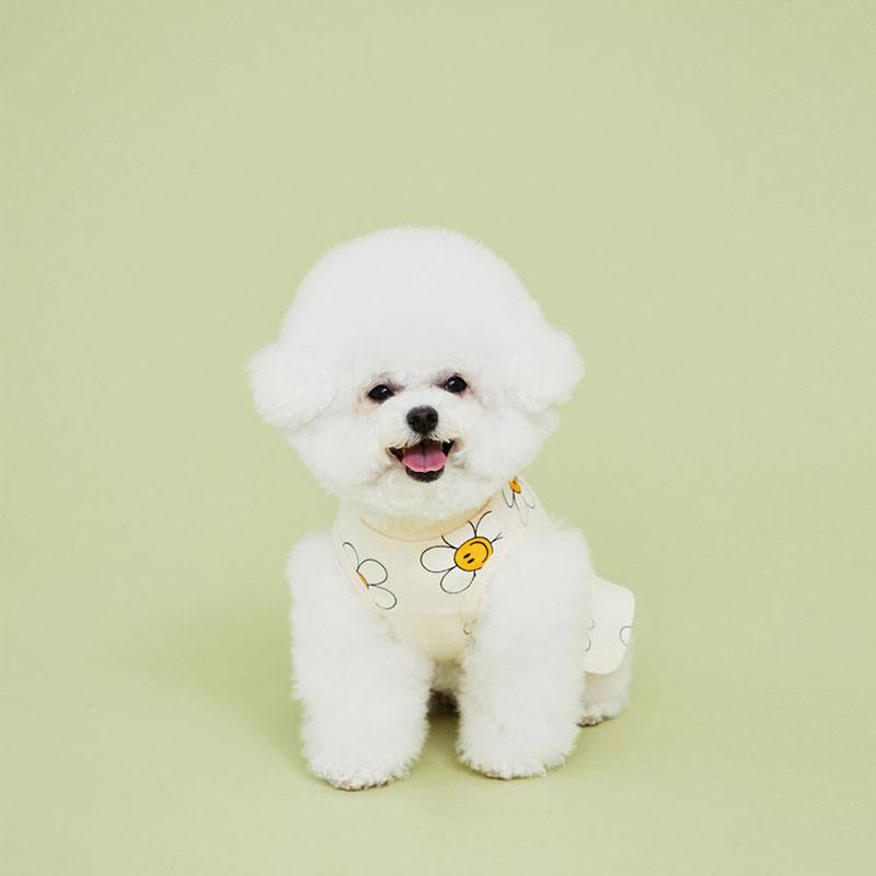 4Dogs Smile Flower Jersey ( 2 Colours ) - CreatureLand