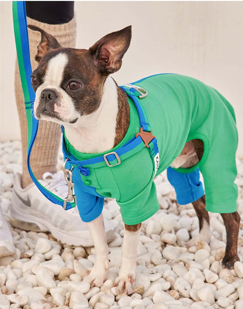 No-Pull Harness - Forest