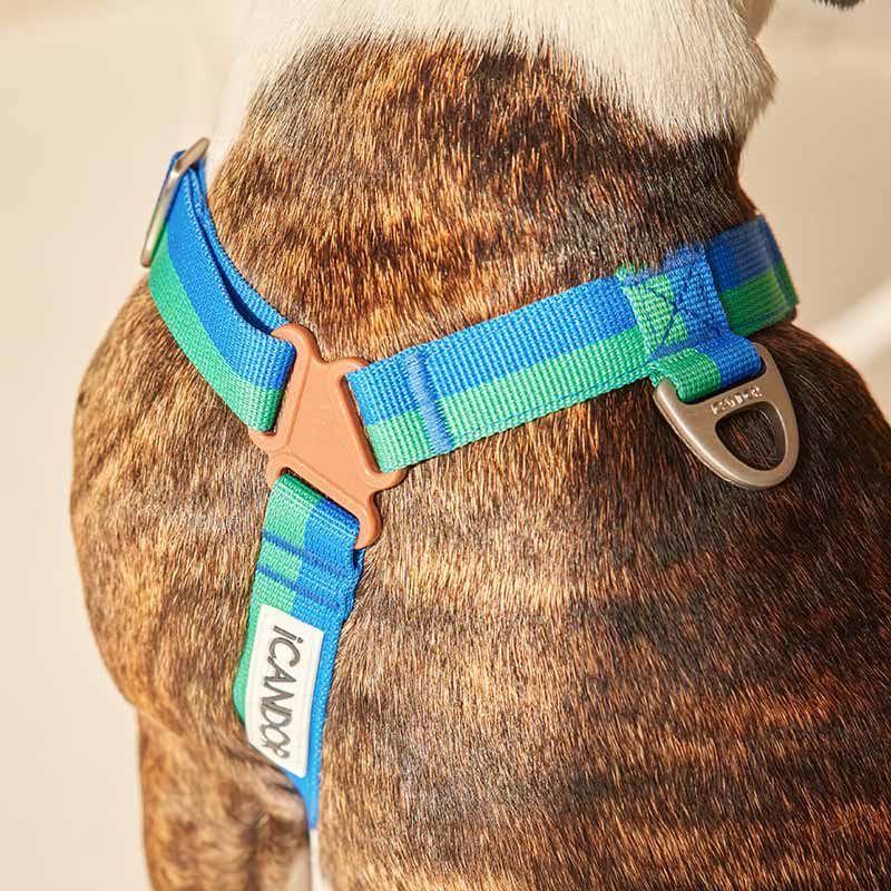 No-Pull Harness - Forest