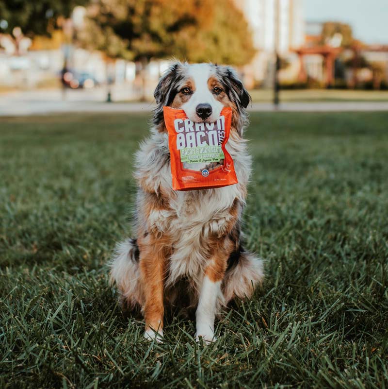 Crav'n Bac'n Bites | Bacon & Duck Dog Training Treats (8.25oz)