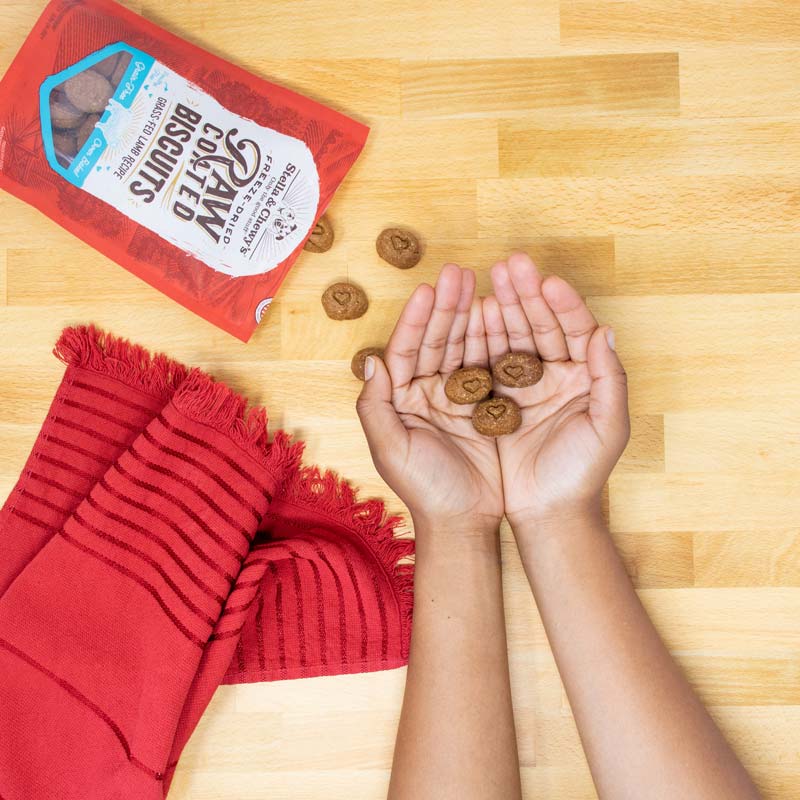 Freeze-Dried Raw Coated Biscuits | Lamb (9oz)