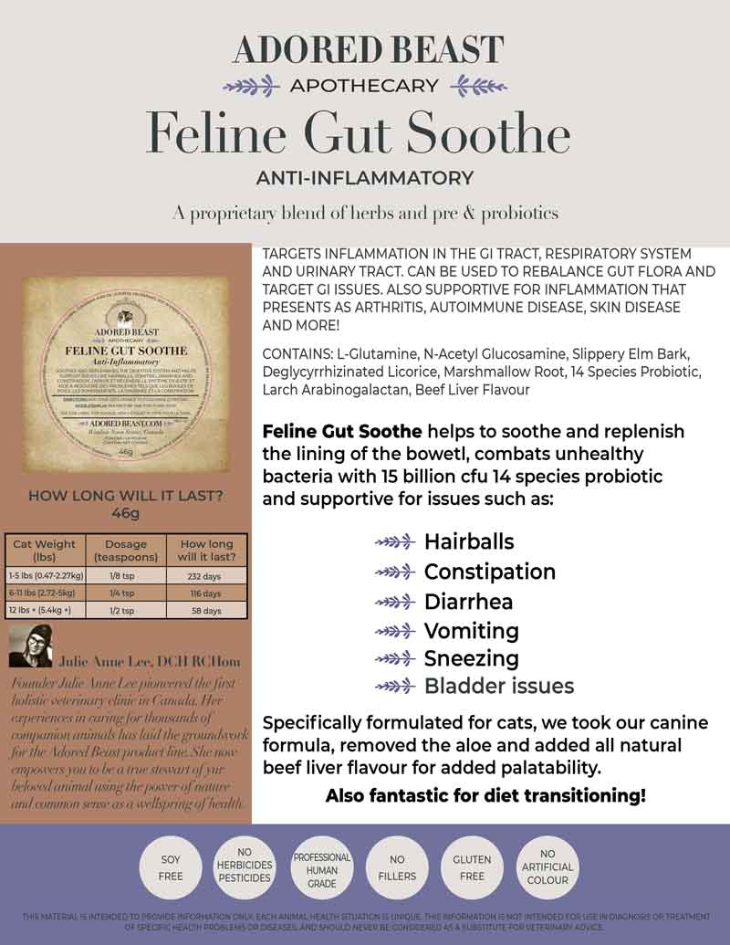 Adored Beast Apothecary Feline Gut Soothe | Anti-Inflammatory - CreatureLand