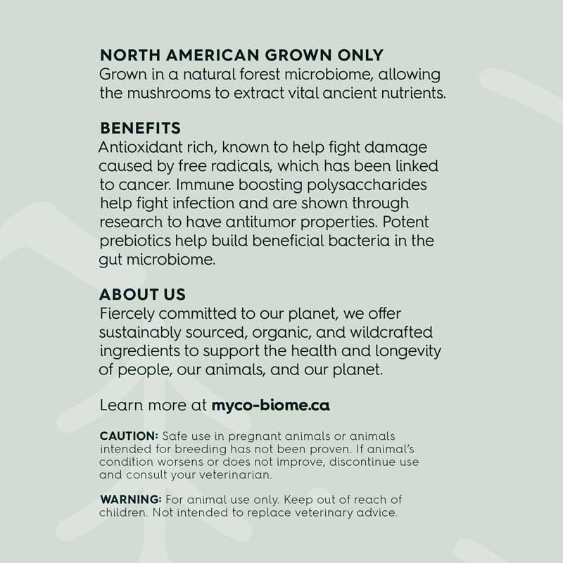 Adored Beast Apothecary (MYCO-BIOME) Turkey Tail Mushrooms | Liquid Double Extract (125ml) - CreatureLand