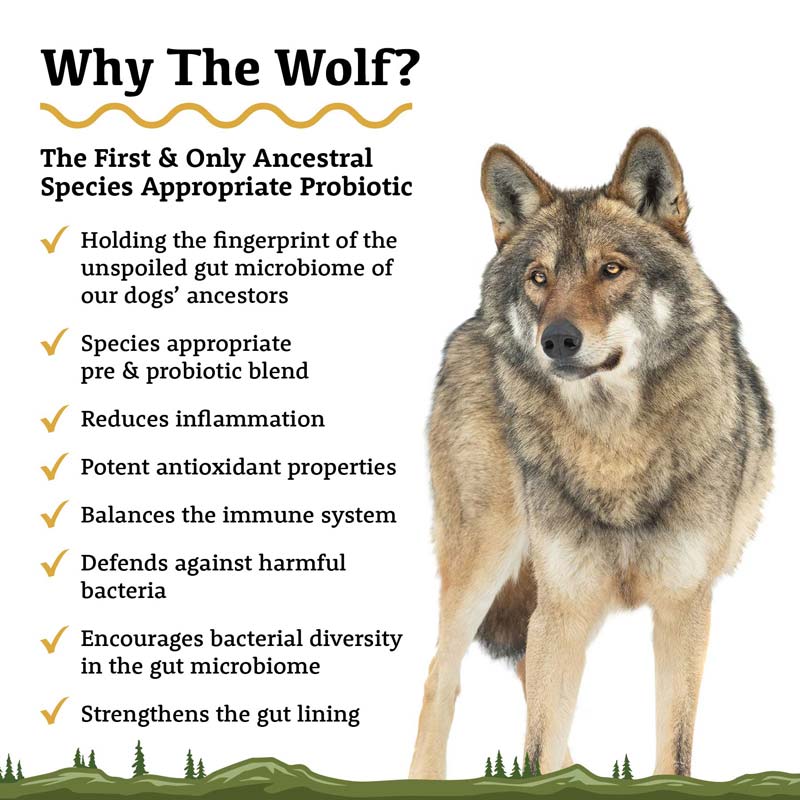 Adored Beast Apothecary The Wolf | Species Appropriate Probiotic (60ml) - CreatureLand