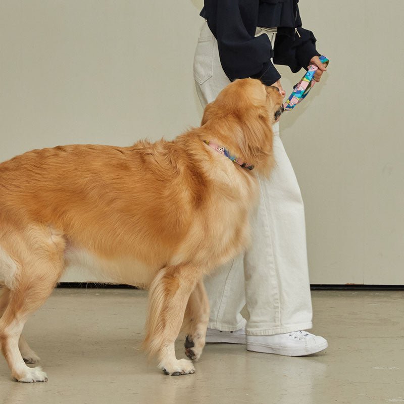 andblank andblank x Spongebob Collar - Patrick - CreatureLand