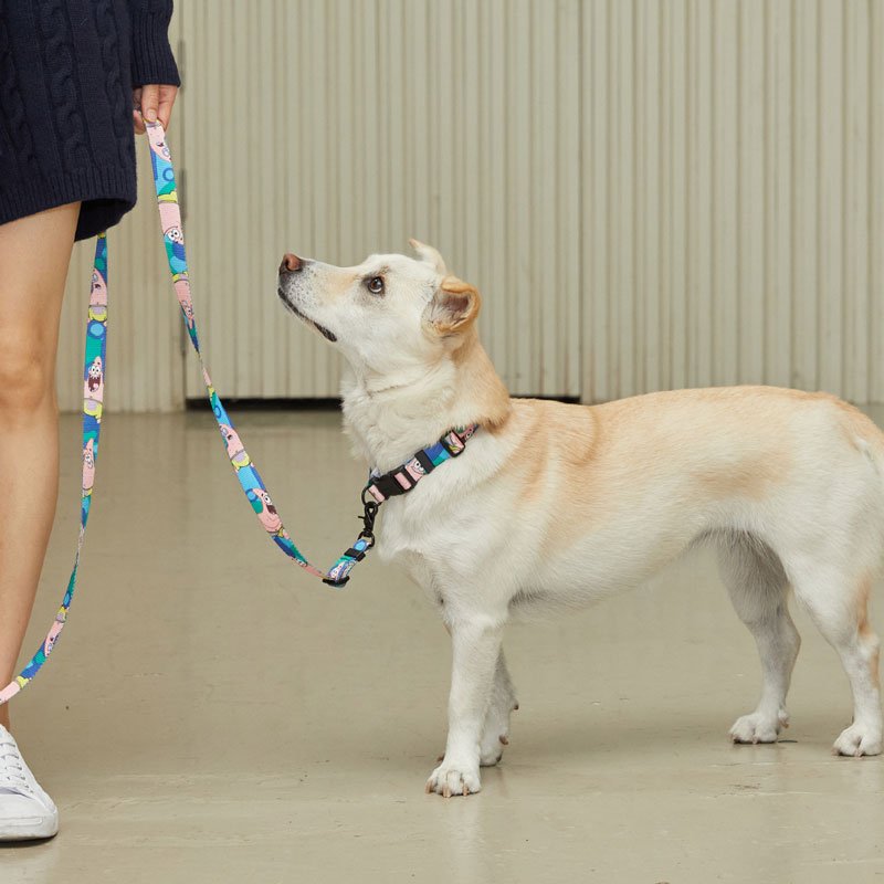 andblank andblank x Spongebob Collar - Patrick - CreatureLand