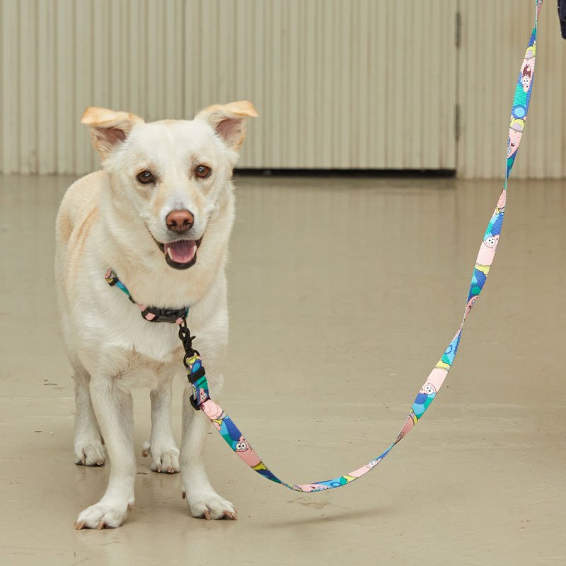 andblank andblank x Spongebob Collar - Patrick - CreatureLand